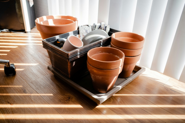 Vasos