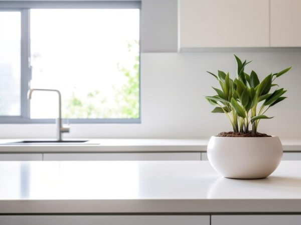 organização minimalista para cozinha 