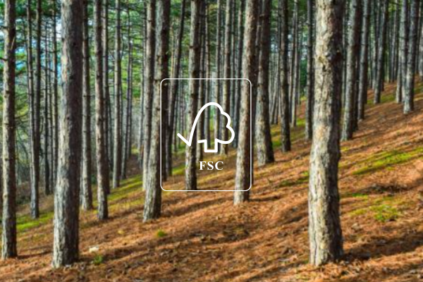Madeira Certificada FSC 