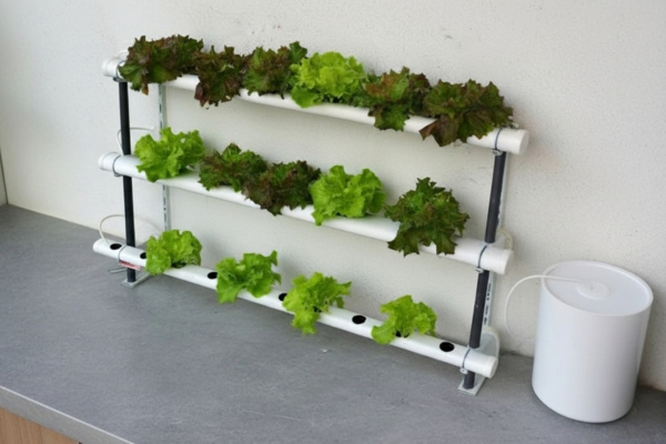 Mini Horta Hidropônica na Cozinha