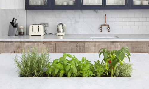 Horta Hidropônica na Cozinha do Apartamento
